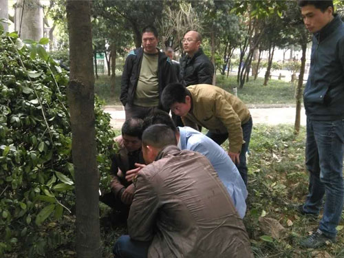 2016年醴陵市园林技术交流会-(2)