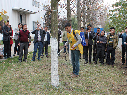 涂白剂现场体验