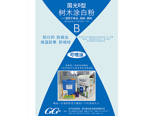 国光糊涂20千克B