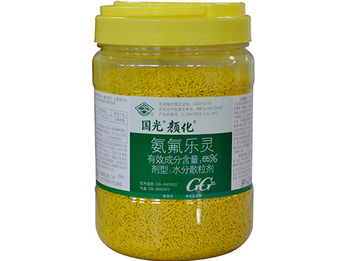 颜化500g