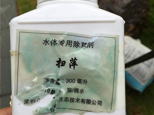 水中藻类防除3