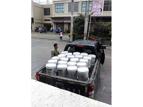 万樟茶花救治  (16)