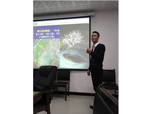 风光带管理处 (2)