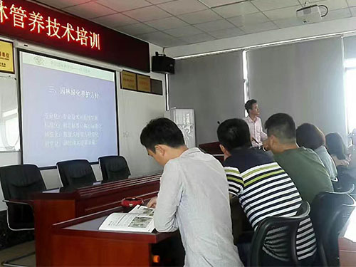 盛景园林养护技术培训课 (5)