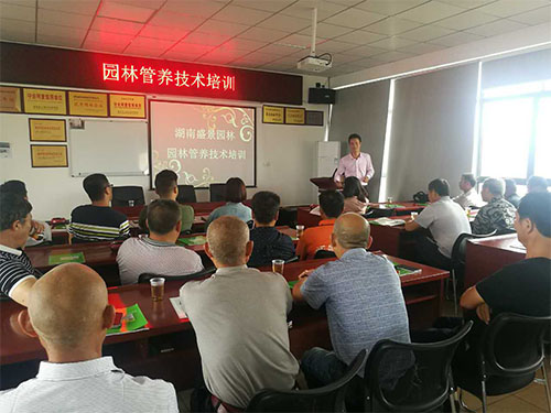 盛景园林养护技术培训课 (6)