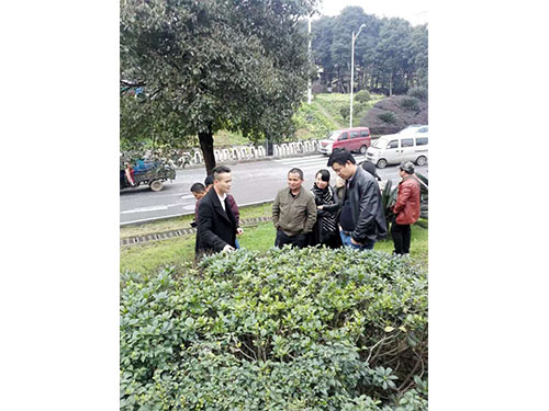 荷塘区养护讲座 (4)