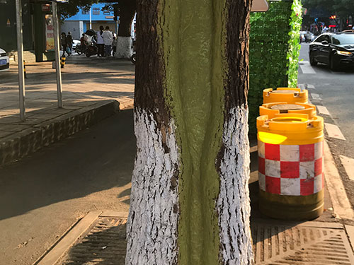 5.9树洞清理涂刷