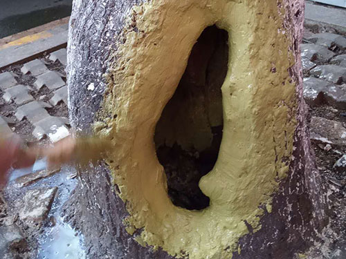 5.9树洞清理涂刷