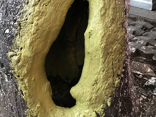 5.9树洞清理涂刷