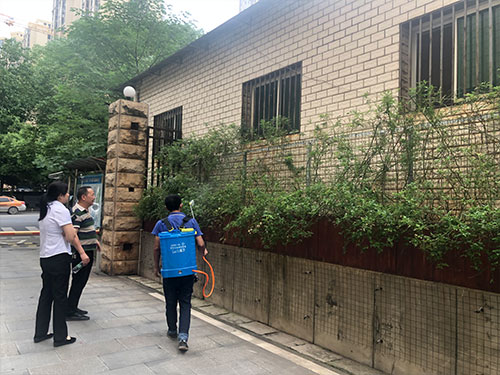 5.22市园林局蔷薇病害喷雾