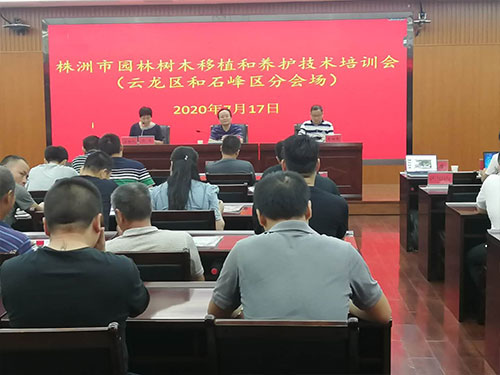 第六场——云龙区和石峰区分场