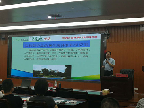 第六场——云龙区和石峰区分场