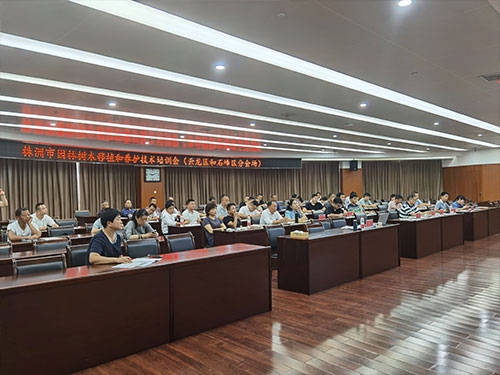 第六场——云龙区和石峰区分场