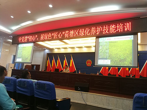 荷塘区绿化养护技能培训