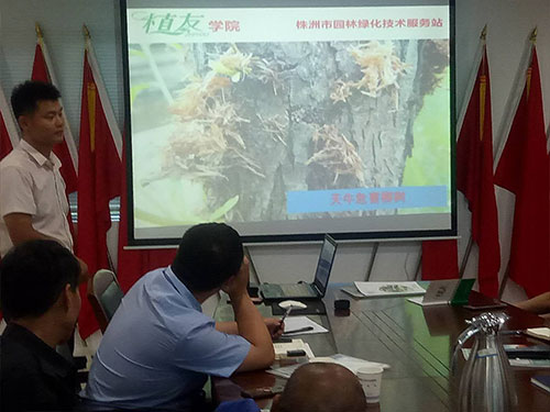 湖南建工汇博物业绿化养护技术交流会