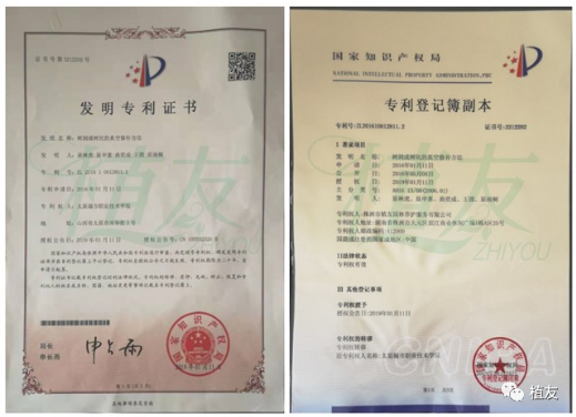 飞艇168历史开奖记录查询_株洲园林绿化养护|株洲绿化管理|病虫害防治哪里的好|株洲园林绿化工程公司|白蚁防治病虫害治理