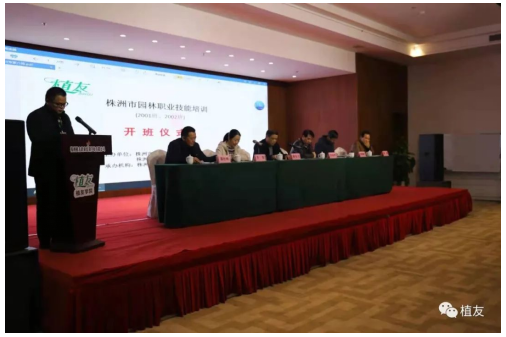 飞艇168历史开奖记录查询_株洲园林绿化养护|株洲绿化管理|病虫害防治哪里的好|株洲园林绿化工程公司|白蚁防治病虫害治理