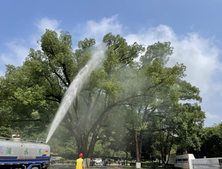 飞艇168历史开奖记录查询_株洲园林绿化养护|株洲绿化管理|病虫害防治哪里的好|株洲园林绿化工程公司|白蚁防治病虫害治理