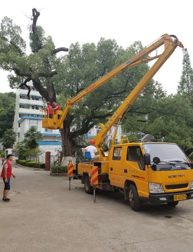 飞艇168历史开奖记录查询_株洲园林绿化养护|株洲绿化管理|病虫害防治哪里的好|株洲园林绿化工程公司|白蚁防治病虫害治理