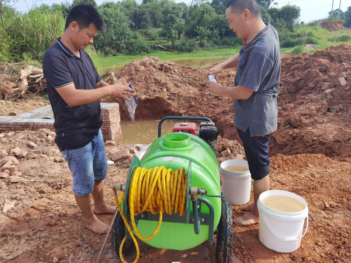 飞艇168历史开奖记录查询_株洲园林绿化养护|株洲绿化管理|病虫害防治哪里的好|株洲园林绿化工程公司|白蚁防治病虫害治理